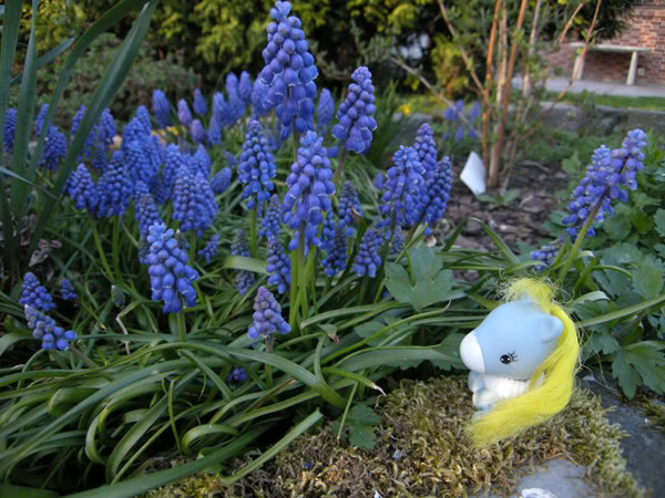 pépin - l'histoire de Pépin ou le grand safari des fleurs Histoire2pepin06