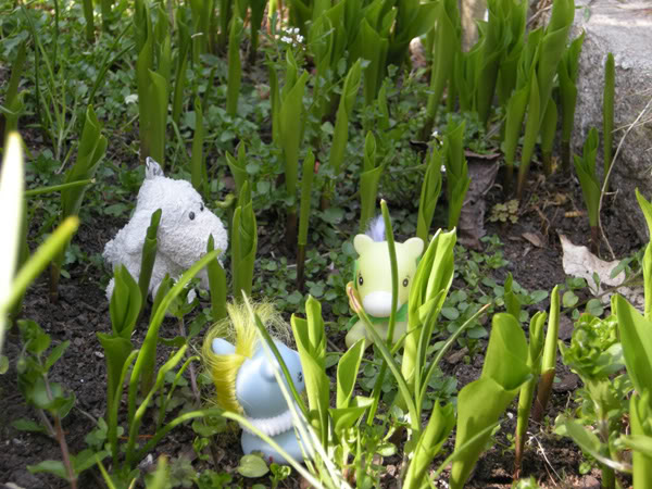 l'histoire de Pépin ou le grand safari des fleurs Histoire2pepin24