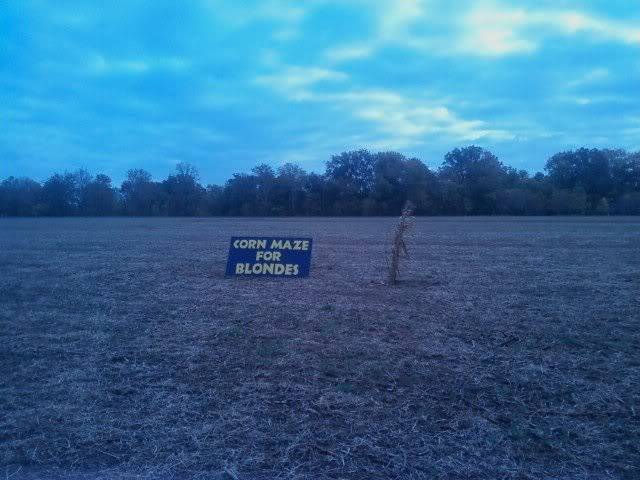 El nuevo de nuevo topic de las polleces encontradas por ahi - Página 9 Cornmaze