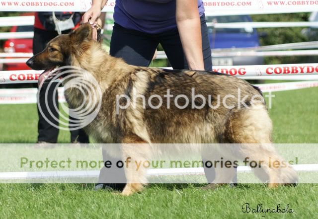 Few pics from Long eaton walcss show AligirlC-1