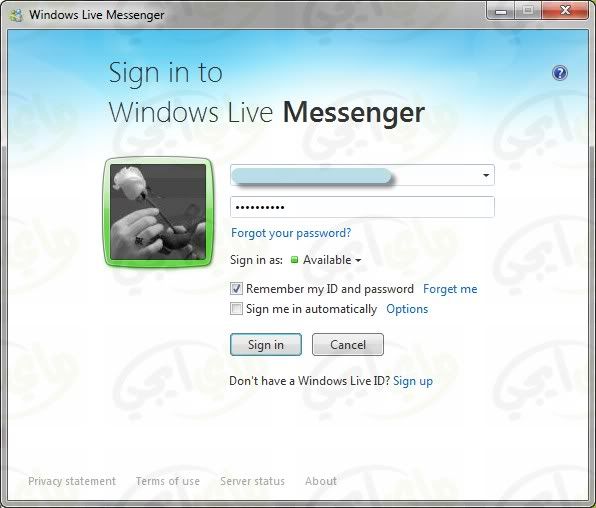 Windows Live Messenger 2011 15.4.3502.922 Final 4