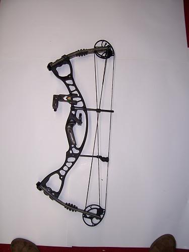 My Hoyt AlphaMax 32 000_0453