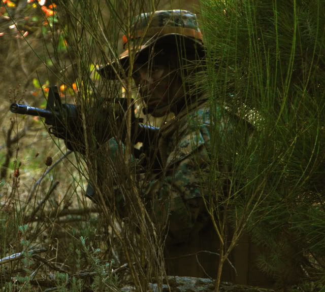 Force Recon Woodland 1 Marga1e