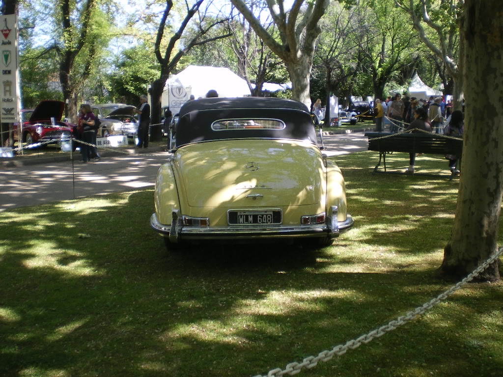 Maluhy na Autoclássica 300Srear