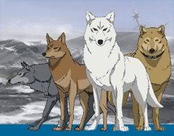 Двора Wolfs