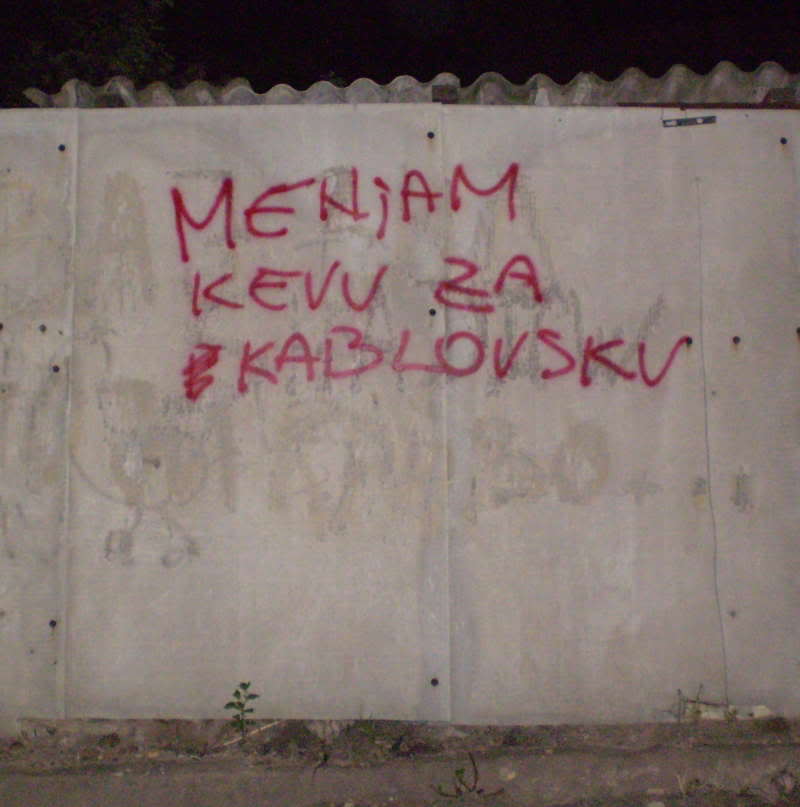 Beogradski grafiti i poruke komšijama - Page 4 P8040131