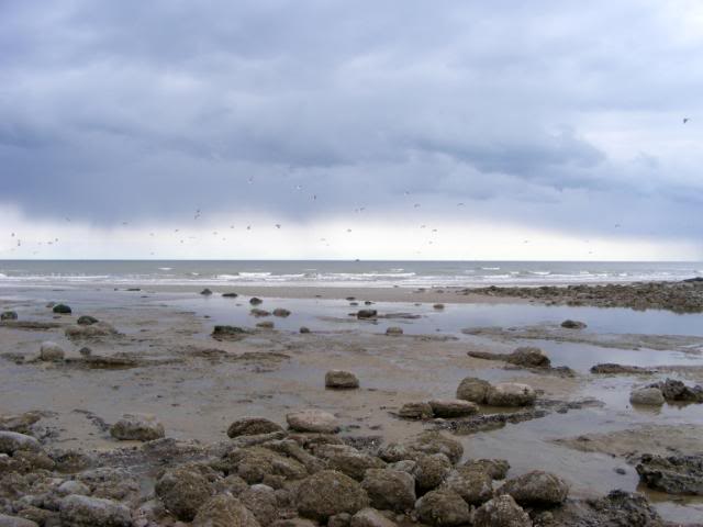 Winchelsea Beach 12 th May WalksinMay069