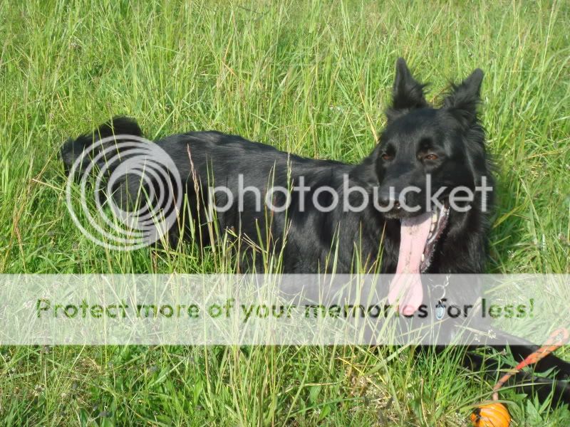 Bryn and Misty Today084