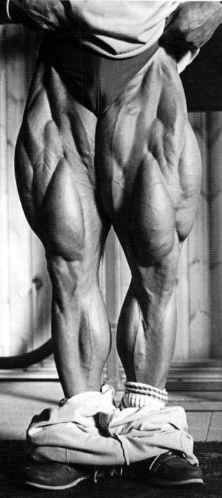 Tom Platz 4bygpq1