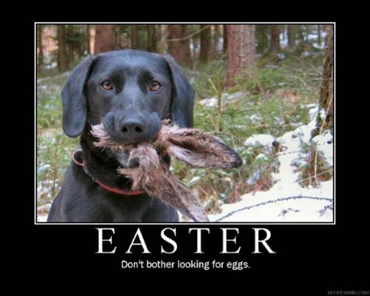 Happy Easter Easter