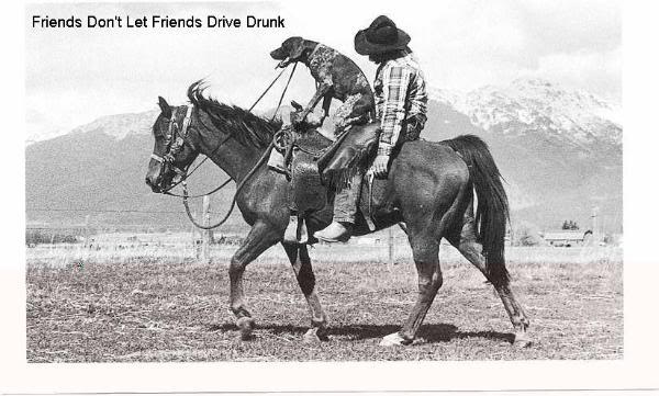 Picture Association! Humor_cowboy_dog_dont_drive_drunk-6