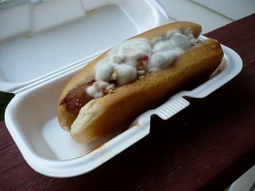 And the Award for Worst New Food Product of the Year Goes to… Moldy_hot_dog