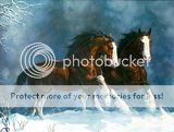   ...  ... Th_Horses_018