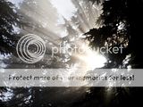   ...  ... Th_Shafts_of_Light_Mount_Baker-Snoqual