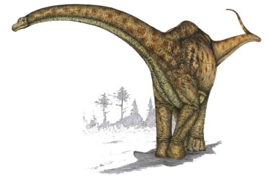 Futalognkosaurus Dukei, de los tres mas grandes del mundo GSGFSWGFSDVSRGTSD