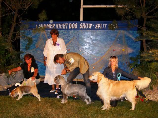 4 SUMMER NIGHT DOG SHOWS 2009. - CACIB (2x) i CAC (2x) Split, 23.-26.07.2009 4dan24