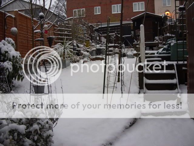 YOUR snow pictures... Picture721