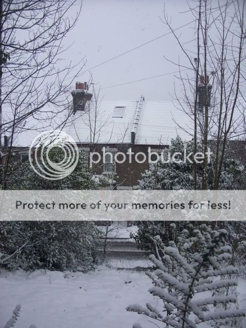 YOUR snow pictures... Picture741