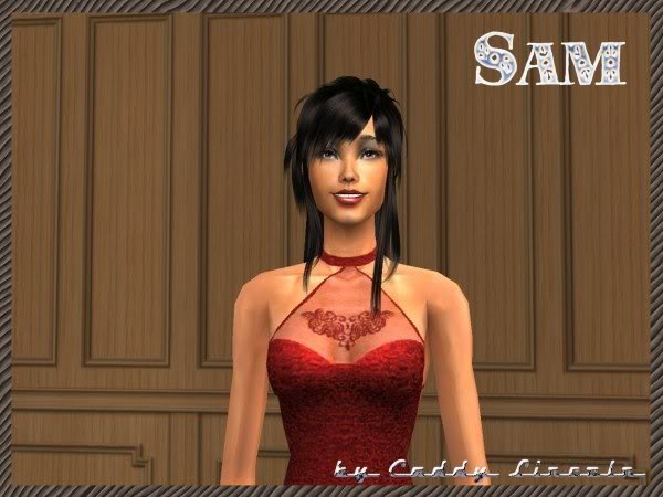 Sam Sam_2