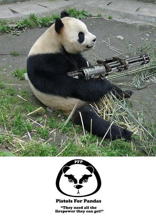 10,000 post thread. Pandas-need-guns