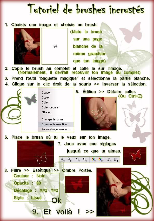 Cours de Pline - Page 2 Tutobrushincrust