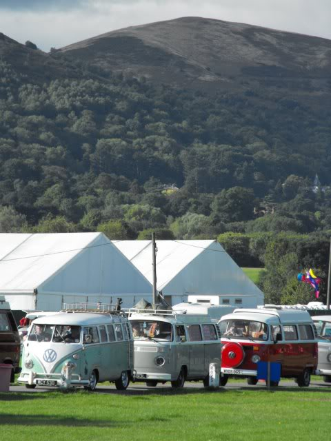 van fest 2010 039_39