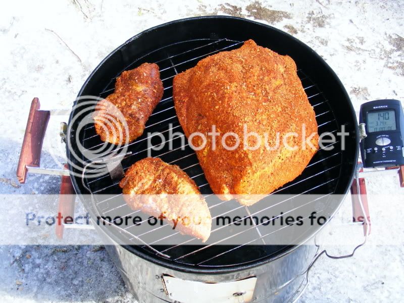 Pork shoulder on the ProBBQ DSCF2033