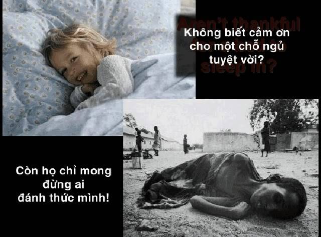 Xem là suy nghĩ Tp08