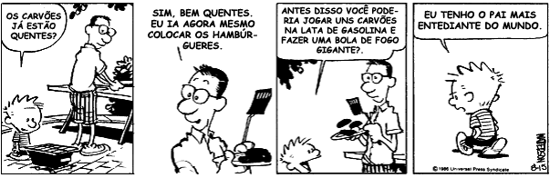 Tiras de Jornal Calvinharodotira270