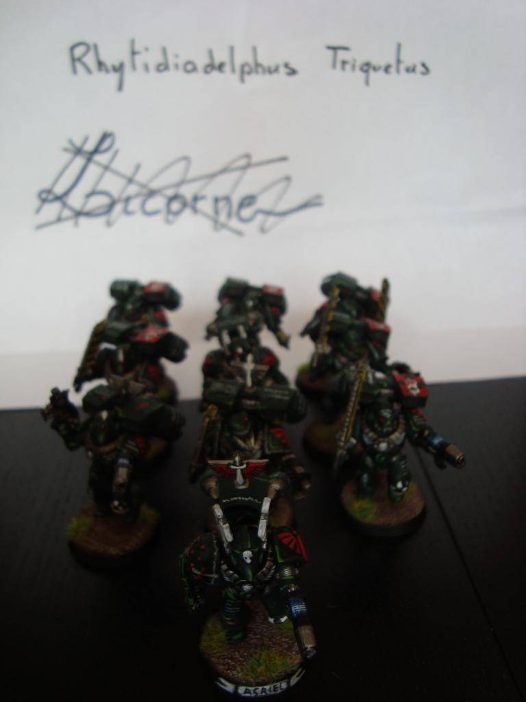 [CDA - 2014 - 2015] Dark Angels - Galthan Ironsturm DSC01629_zpsadf2b917