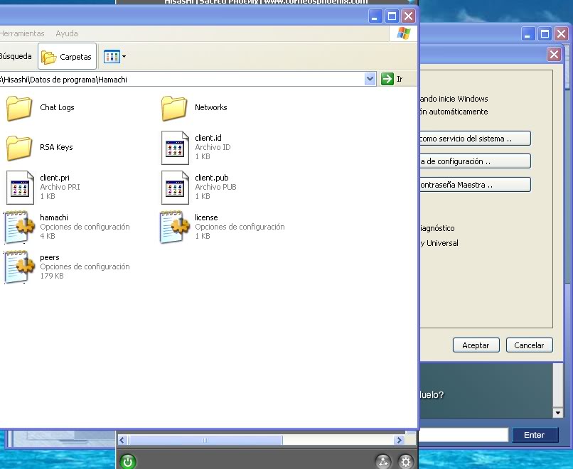 respaldar hamachi... 24-2-2010222402