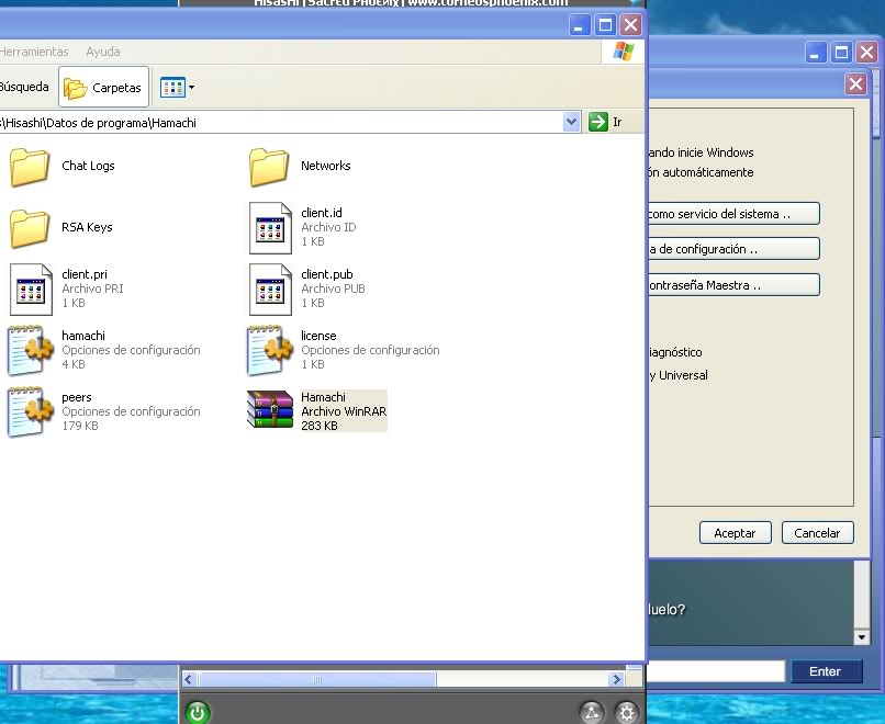 respaldar hamachi... 24-2-2010222564