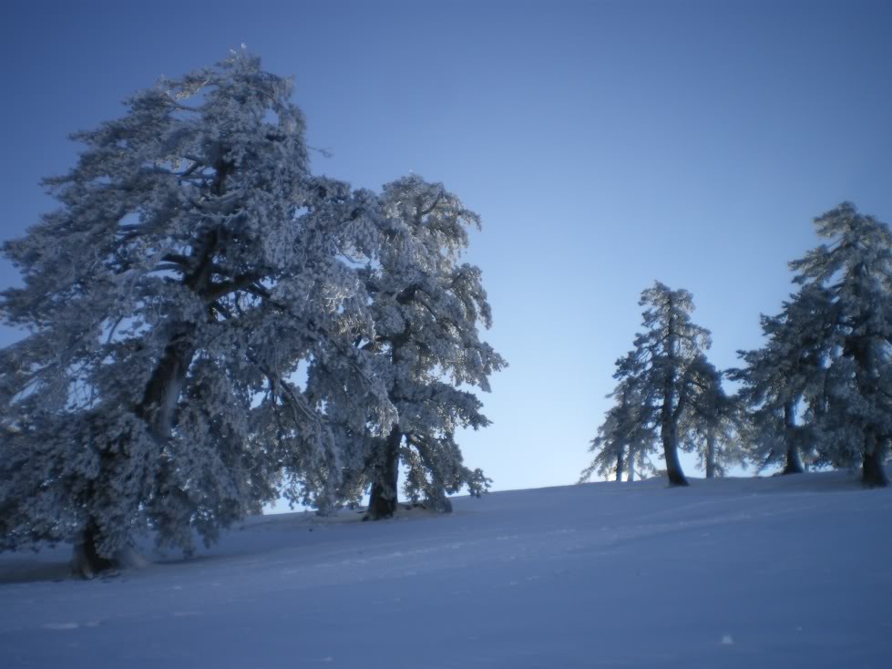 βασιλιτσα 18-23/12/2009 IMGP8947