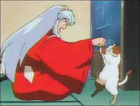 Funny or Not Inuyasha3