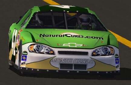 #42 Paint Scheme Unveiled 42HerbCilantro2