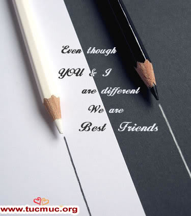 I AM YOUR FRIEND Frn_1702_08