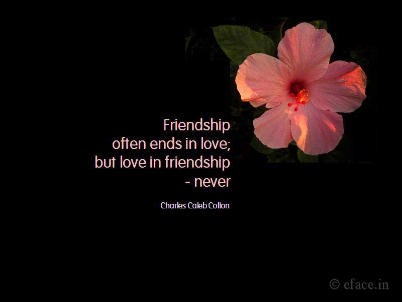 Friendship Greetings 8