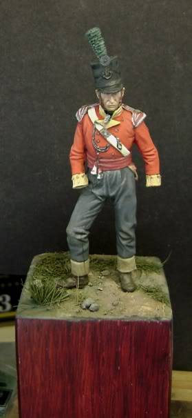 British Officer - 54mm DSC01087