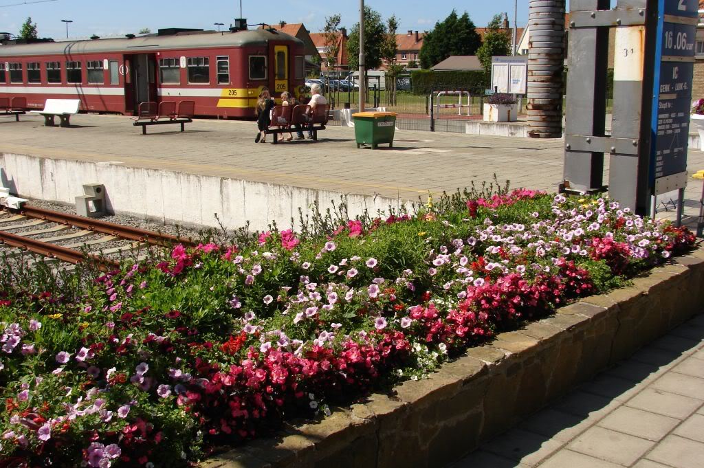 NMBS/SNCB - Belgia DSC05970