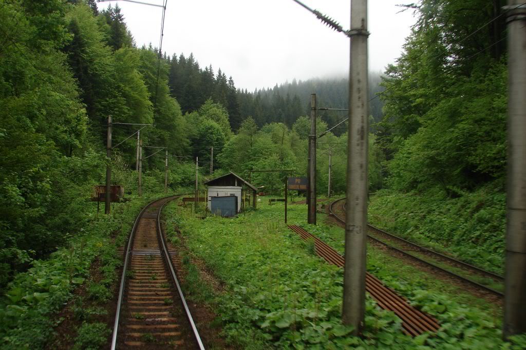 M 300 : Bucuresti Nord - Brasov - Cluj Napoca - Episcopia Bihor - Pagina 34 DSC04596