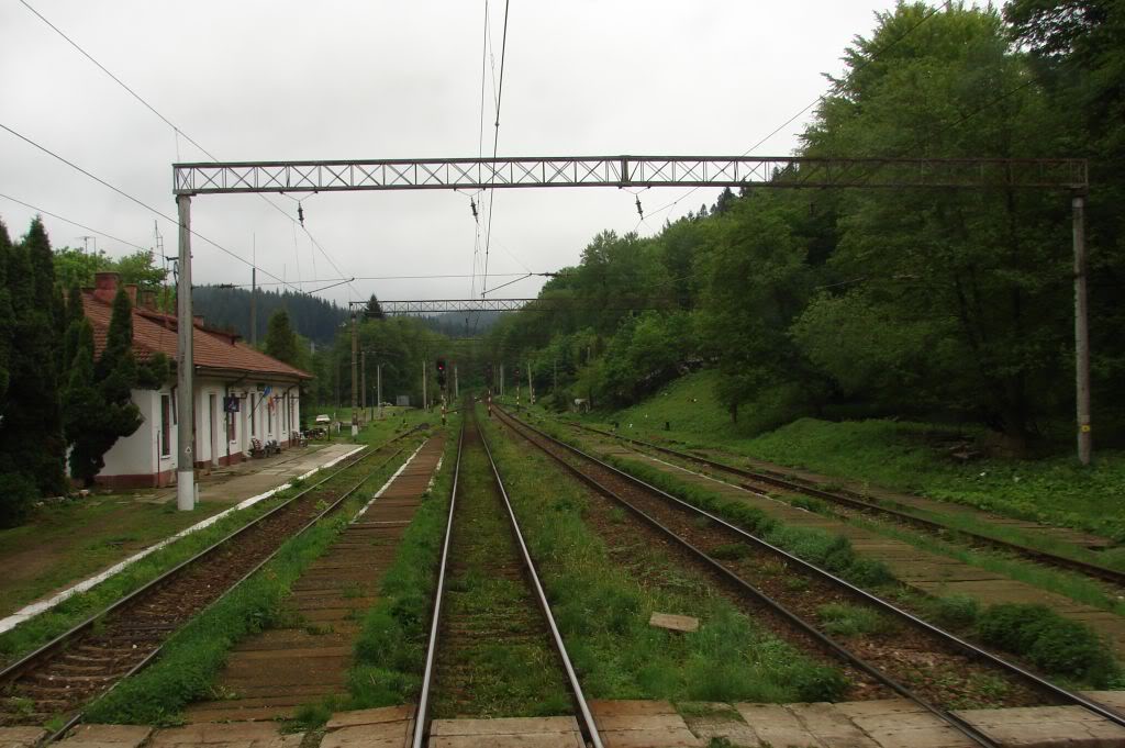 M 300 : Bucuresti Nord - Brasov - Cluj Napoca - Episcopia Bihor - Pagina 34 DSC04609