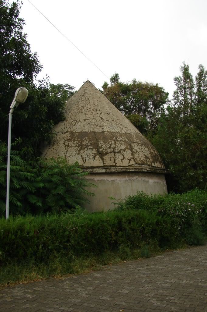 Buzău (500) DSC06637