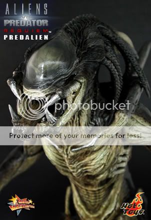 Aliens Vs Predator Requiem DVD Predalientongue