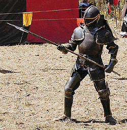 Jousts and Tournaments 2001-wilhelm