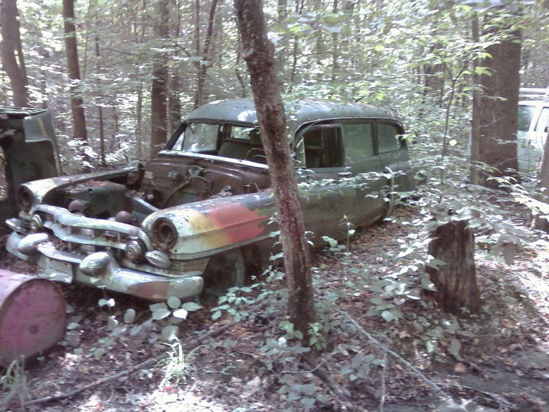 Some cool finds in the woods today....     (pic heavy) P_00256