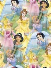 Sper Arka Planlar(Hi Bir yerde Yok) Disney-princesses-wallpaper