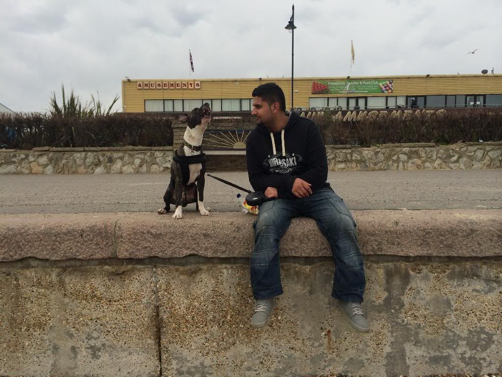 Bane's first trip to the beach! 152CBF56-C593-49FF-84A7-D1BD075D48DD_zps6srdqaiu