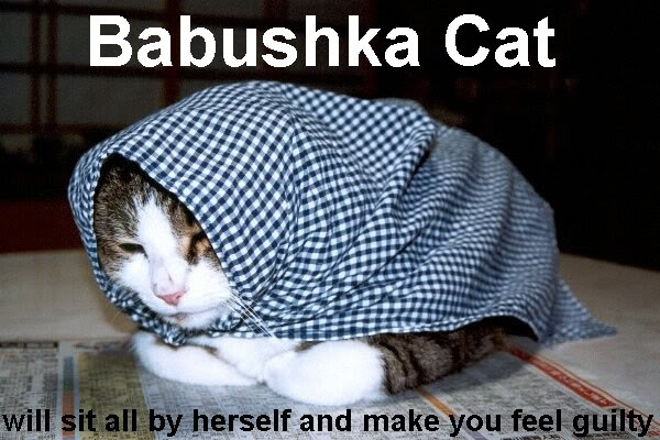 Epic cat thread Babushkacat