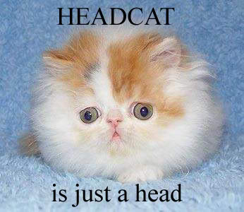 Epic cat thread Head-cat