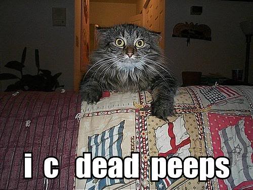 Epic cat thread I-c-dead-peeps